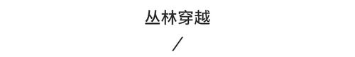 穿越叢林.jpg