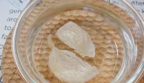 玉桂燕窝木瓜盅1.webp.jpg