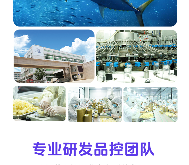 20250311-花膠類品-1_09.jpg