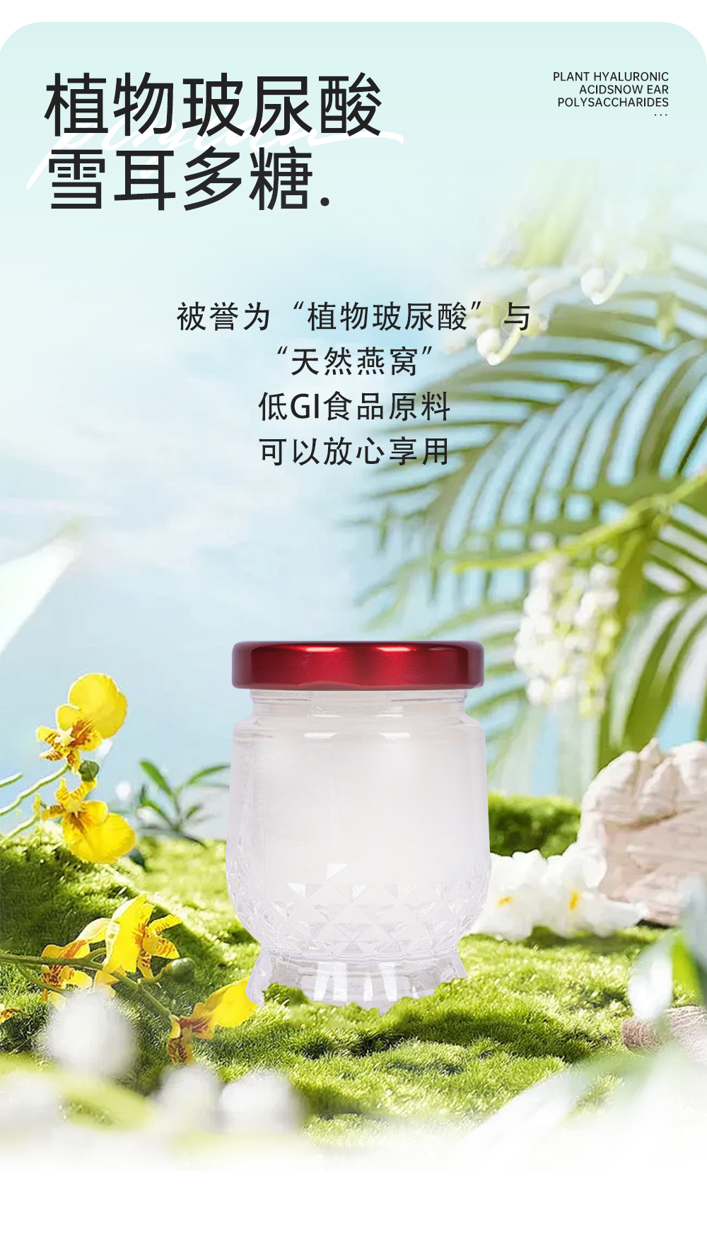 0506彈性蛋白肽鮮燉燕窩12瓶_04.jpg